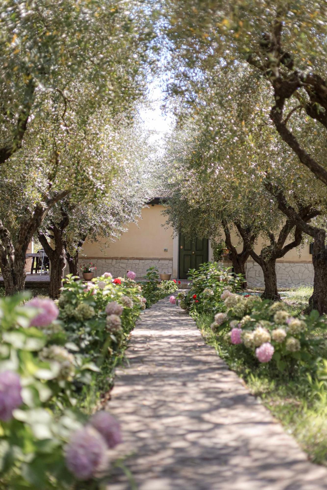 Agriturismo Il Pozzo Casal Velino Buitenkant foto
